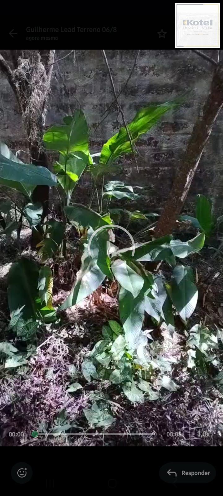 Chácara à venda, Lageado - Porto Alegre — foto 2