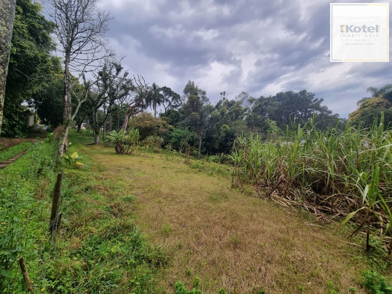Terreno para Venda - 4.452m Bairro Jardim Isabel — foto 3