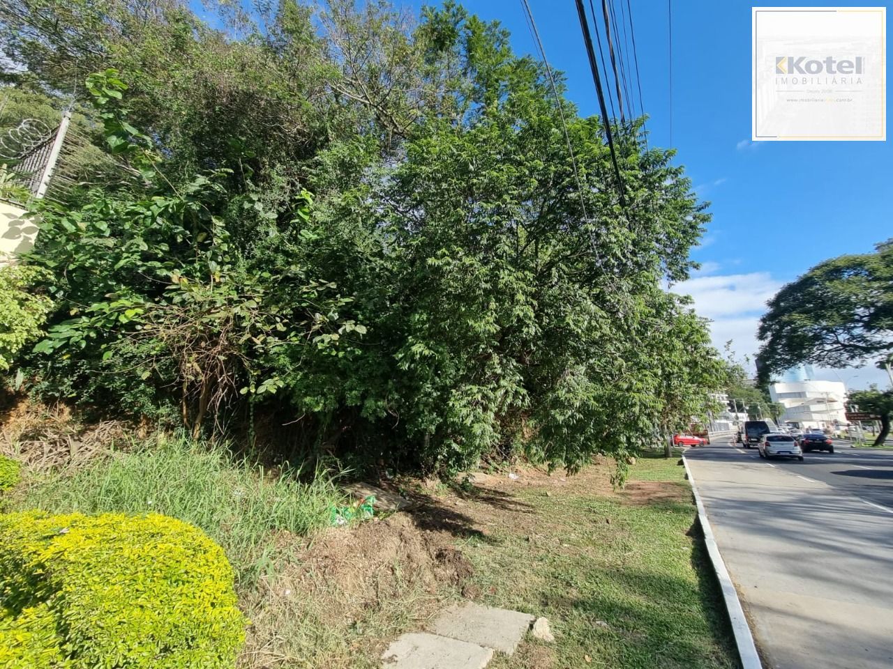 Terreno na av pinheiro borda com vista com 564n² — foto 4