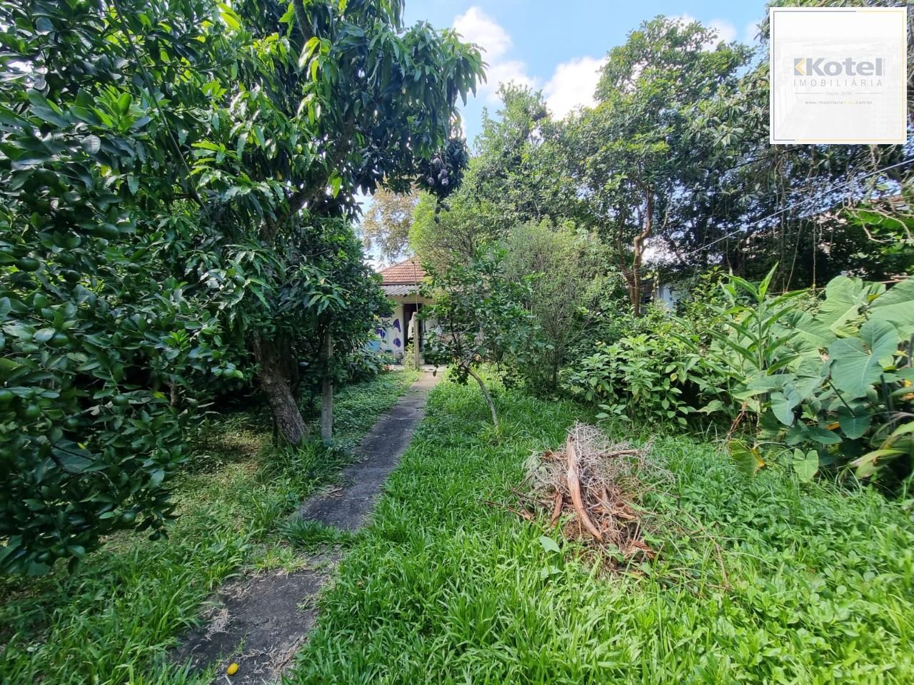 Terreno Plano 435m² Ipanema Proximo Guaíba — foto 4