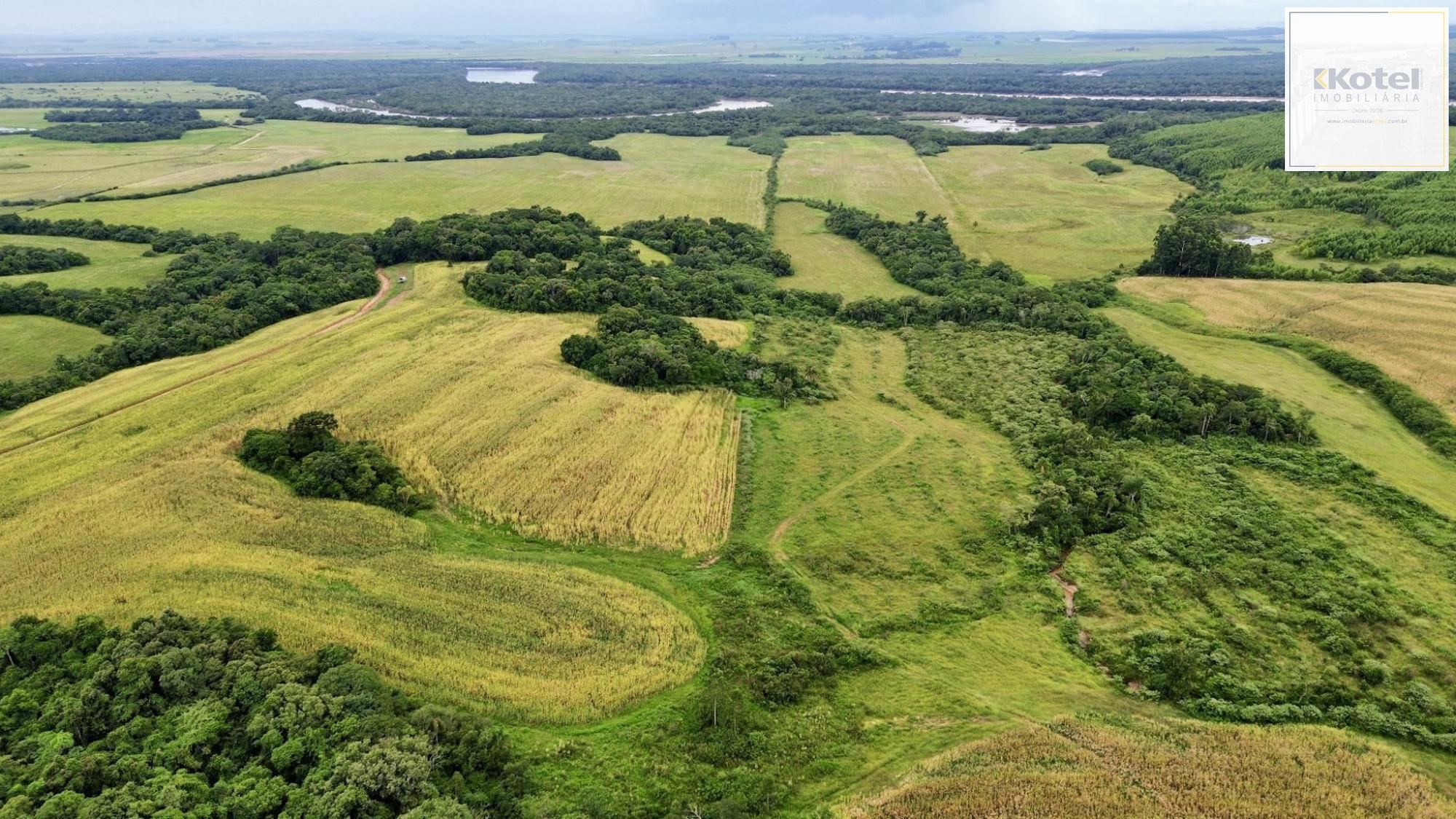 Fazenda à venda no Vale Verde - RS - 433 hectares. Ideal para Arroz e Soja. — foto 3