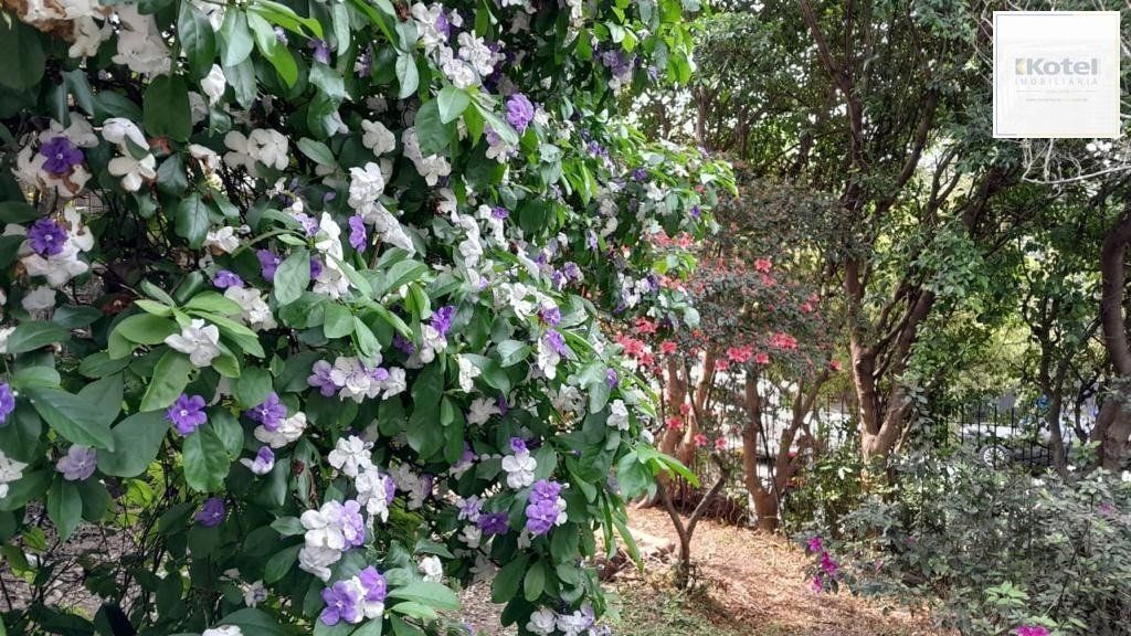 Terreno para Comprar  na Santa Cecília no bairro Rio Branco. — foto 2