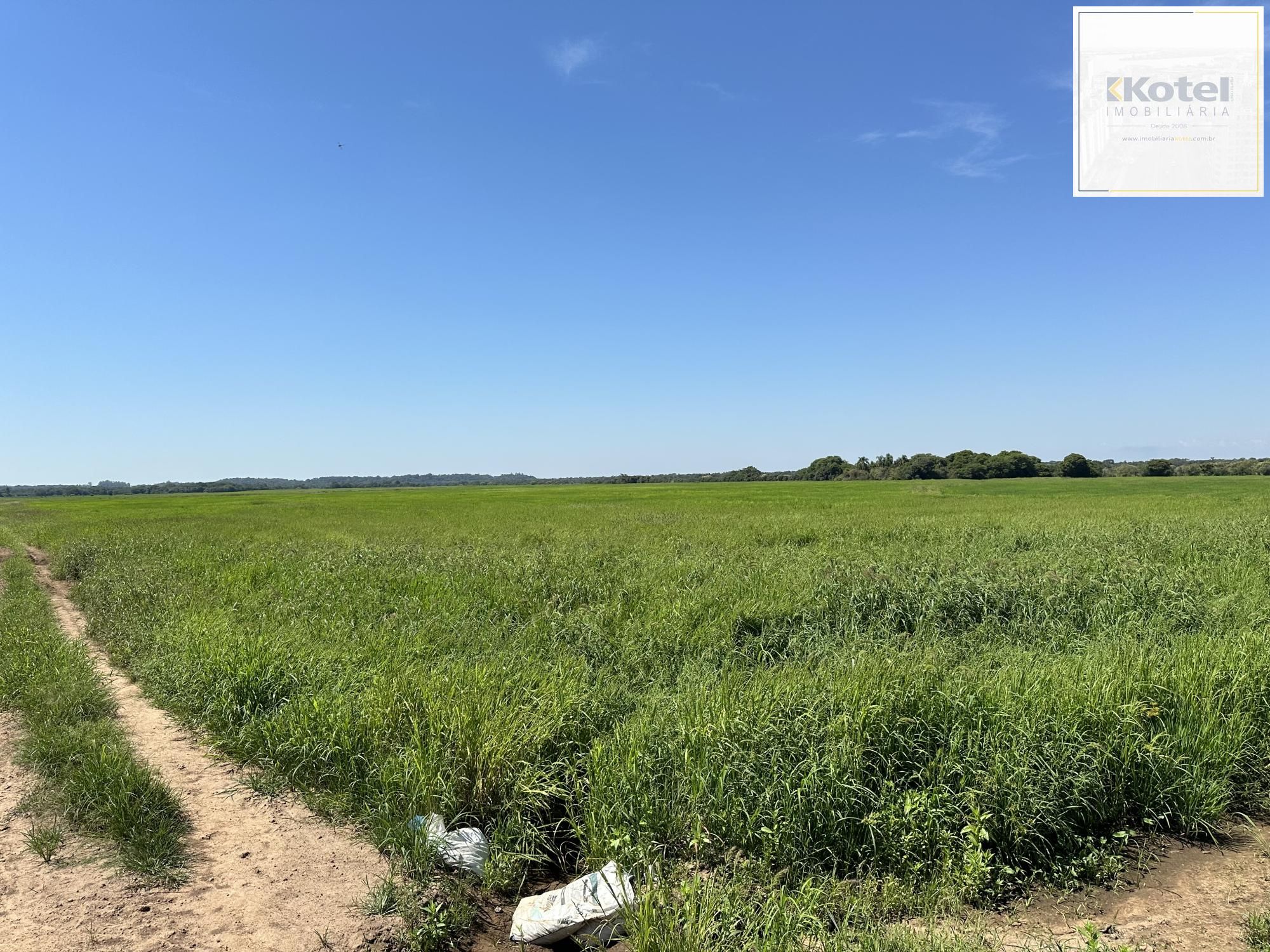 Campo de Arroz