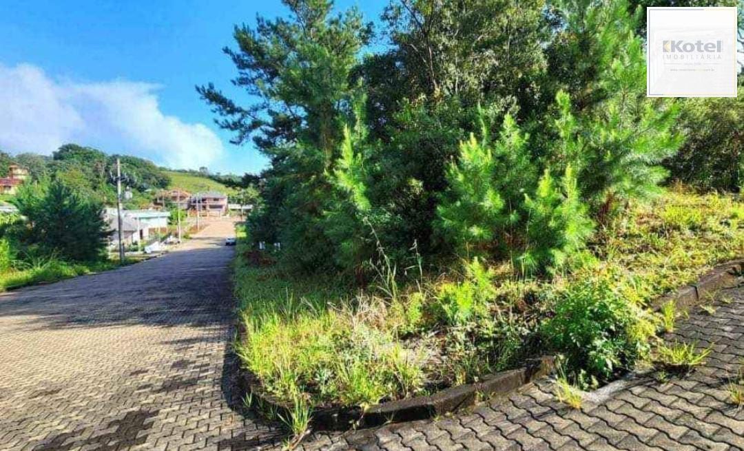 Terreno em Nova Petrópolis — foto 2
