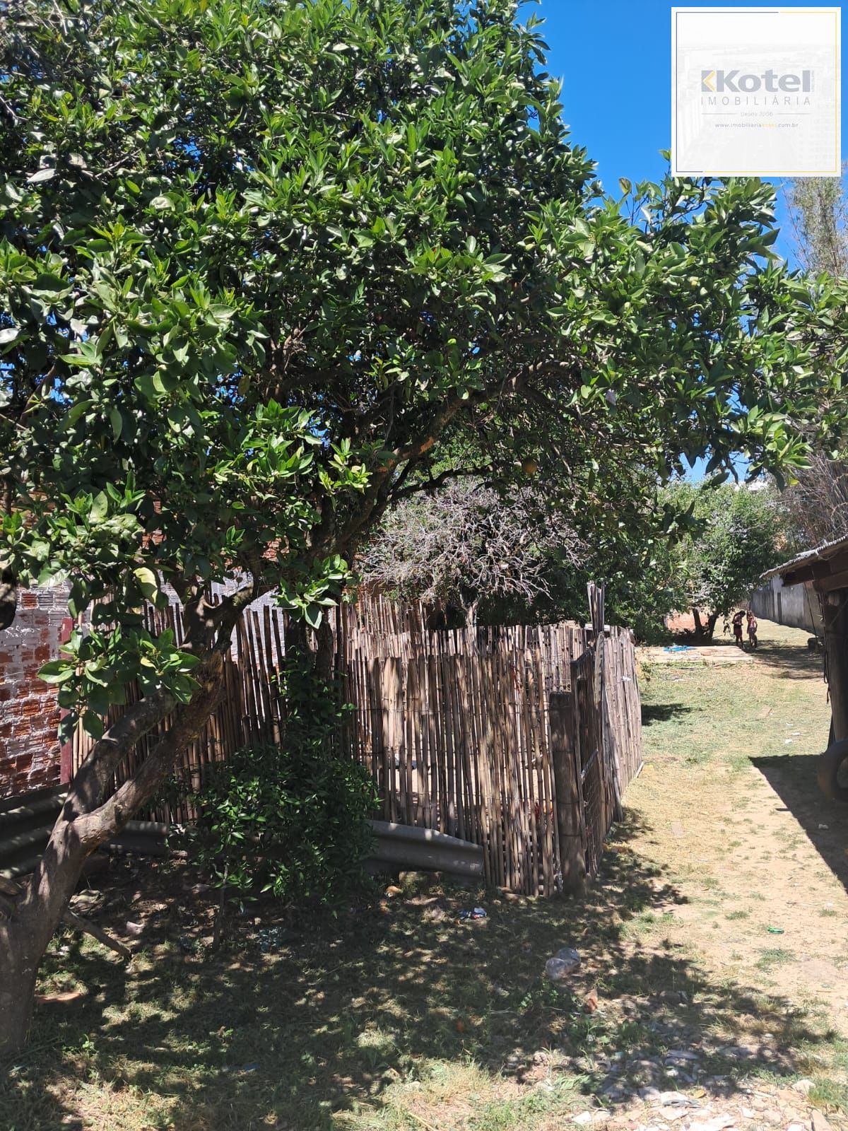 Terreno 11x160 com 2 casas — foto 5