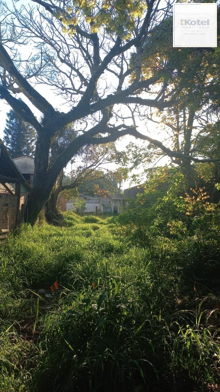 Terreno no bairro Belém Novo — foto 2