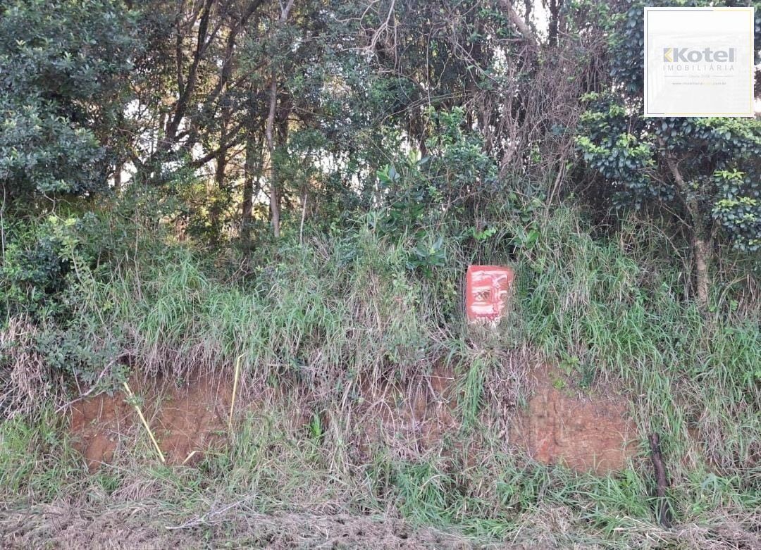 Area de terras no bairro Lageado — foto 5