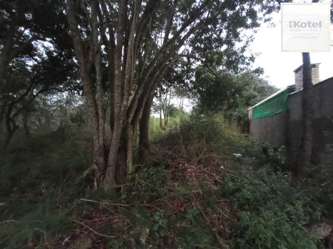 Terreno no bairro Belém Novo — foto 2