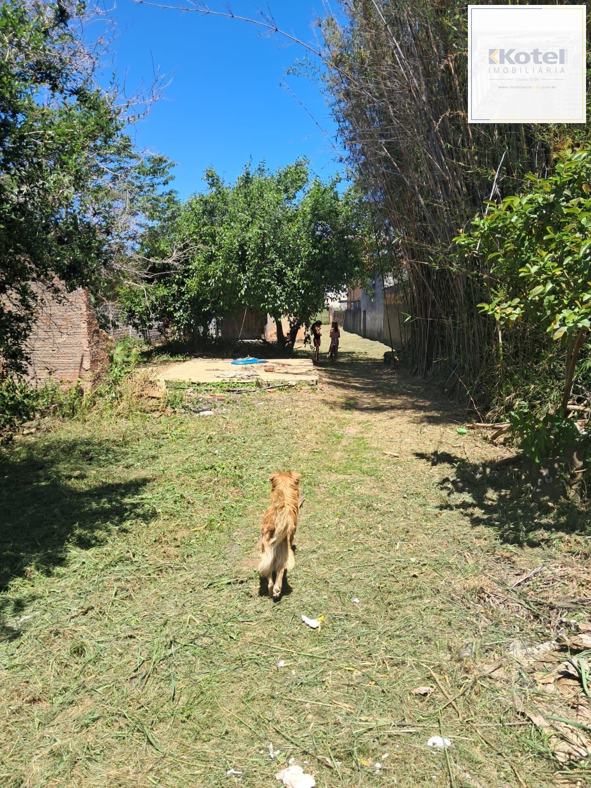 Terreno 11x160 com 2 casas — foto 3