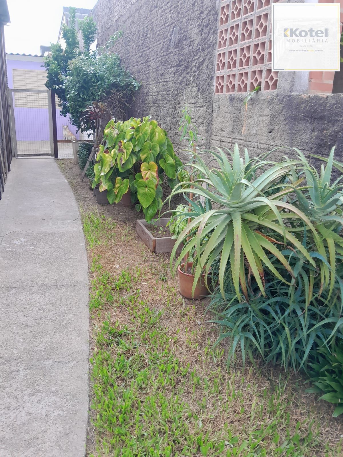 Casa no bairro Hípica - 2 dormitórios — foto 2