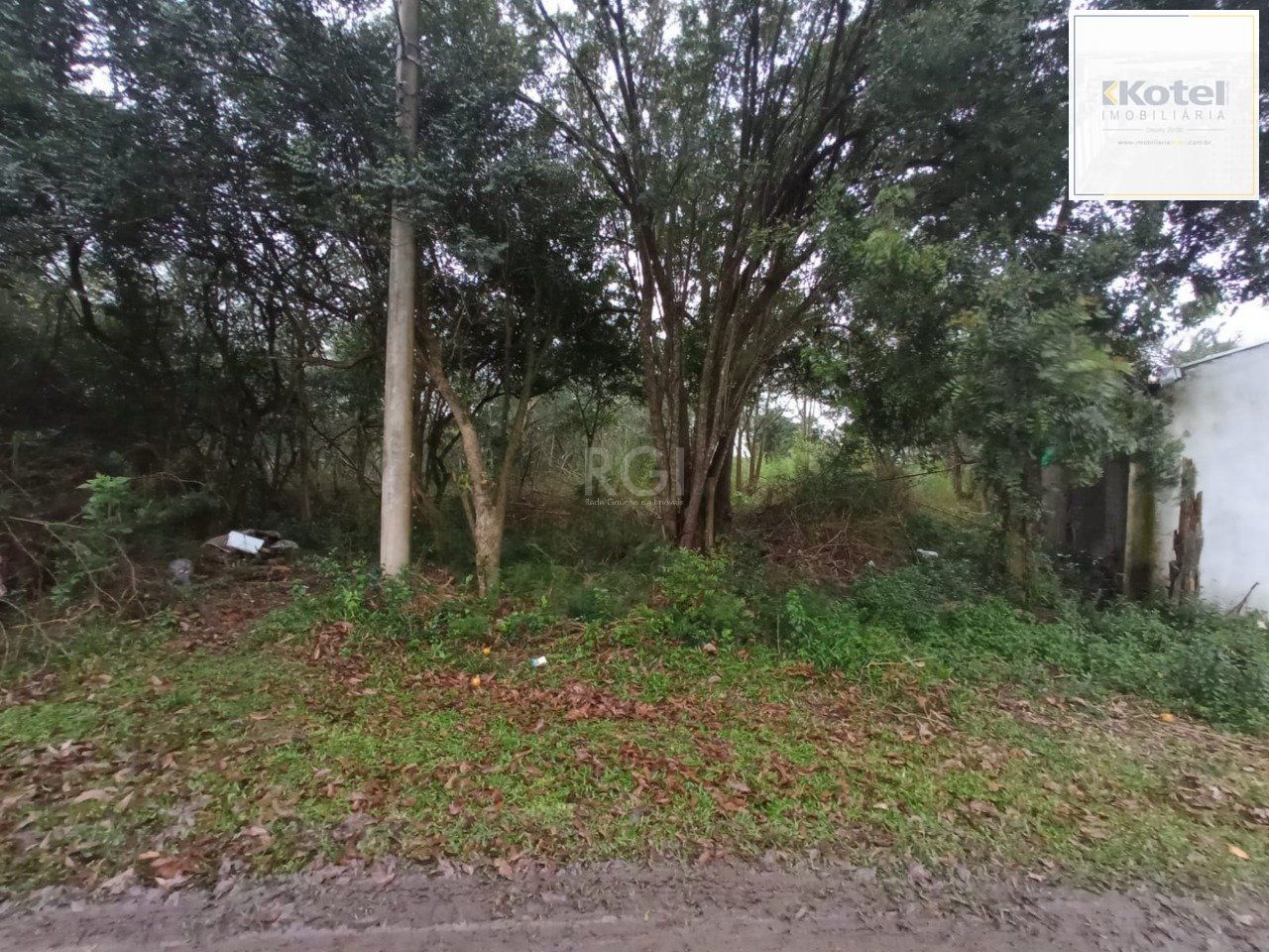 Terreno no bairro Belém Novo — foto 4