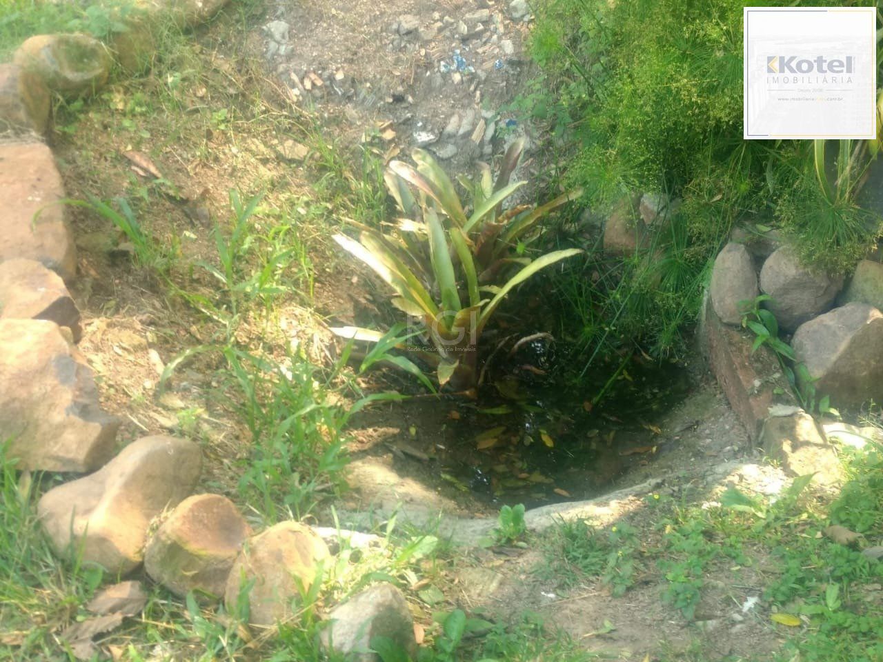 Terreno a venda no bairro Gloria - Av. Oscar Pereira — foto 5