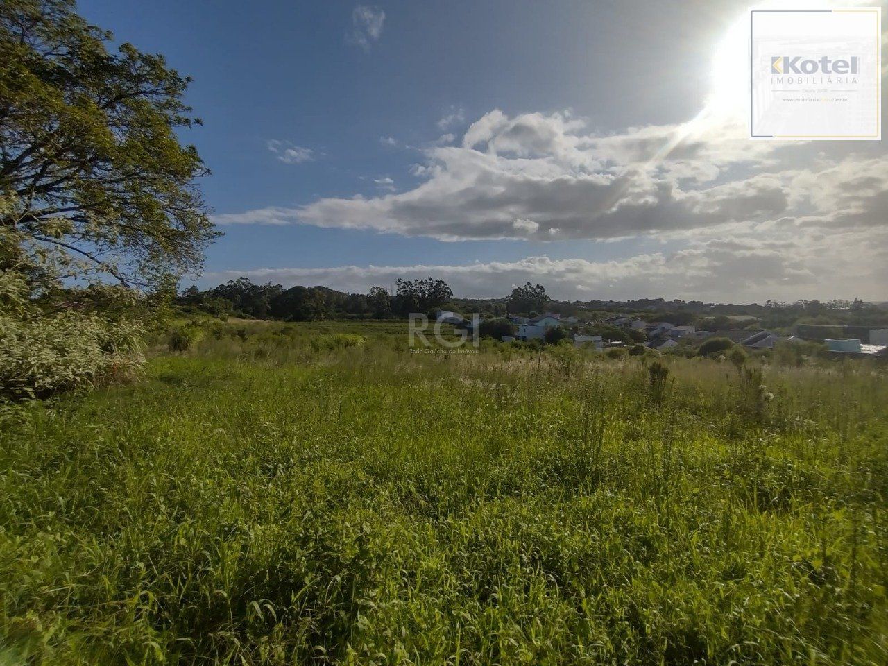 Área de terras no bairro Campo Novo — foto 4