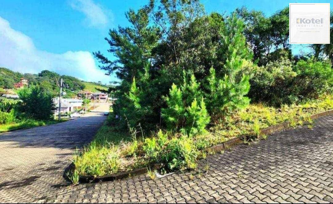 Terreno em Nova Petrópolis — foto 3