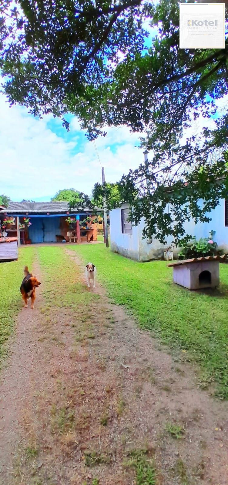 Terreno no Bairro Ponta Grossa — foto 3