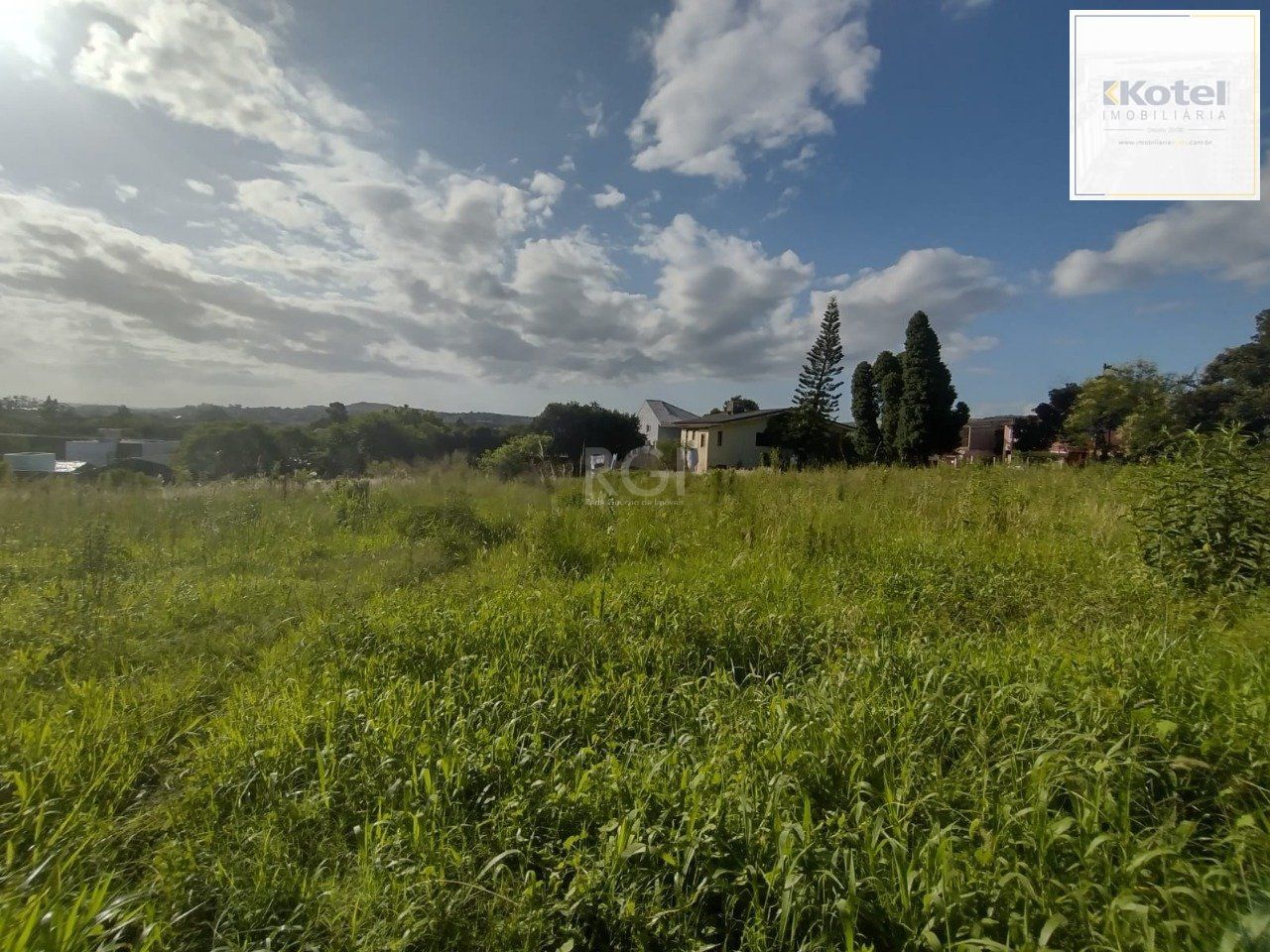 Área de terras no bairro Campo Novo — foto 5