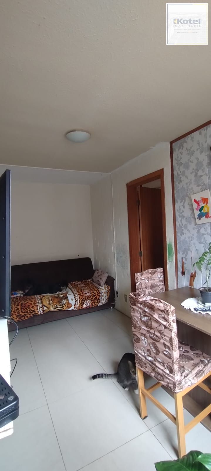 Apartamento no Bairro Vila Nova - 1D — foto 2