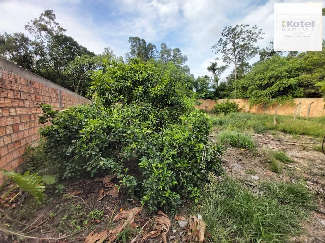 Terreno Bairro Restinga - Zona Sul — foto 4