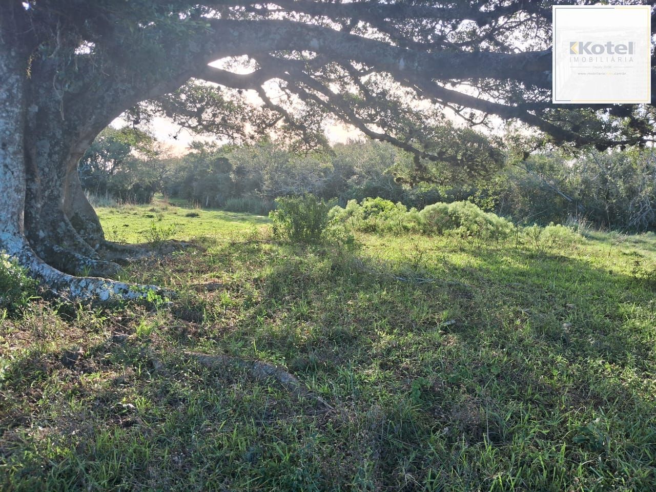 Área de terras no bairro Extrema — foto 5