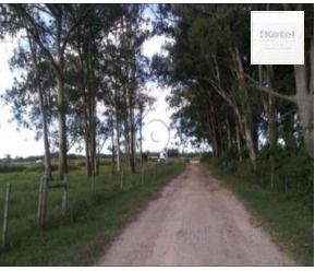 Area para Venda - 1.100.000m², Vila Santa Rosa — foto 3