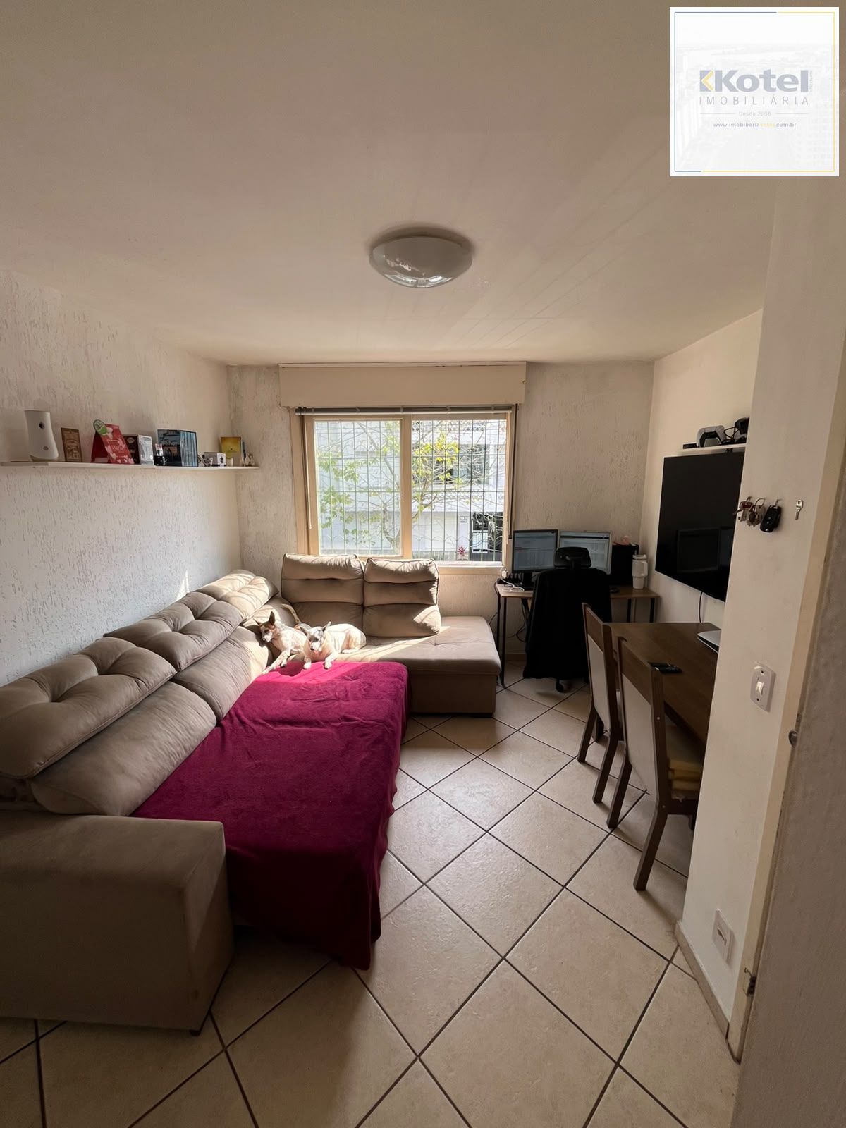 Apartamento, 2 quartos, à venda, 50 m², Navegantes - Porto Alegre — foto 2