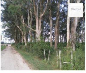 Area para Venda - 1.100.000m², Vila Santa Rosa — foto 4