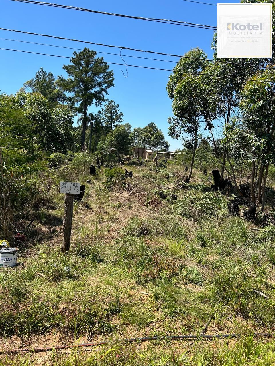 Terreno à venda, Lageado - Porto Alegre — foto 2
