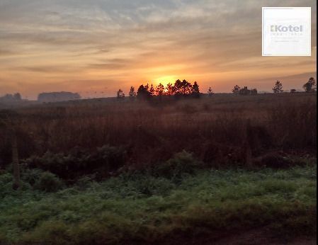 Terreno à venda, São José - Passo Fundo — foto 2