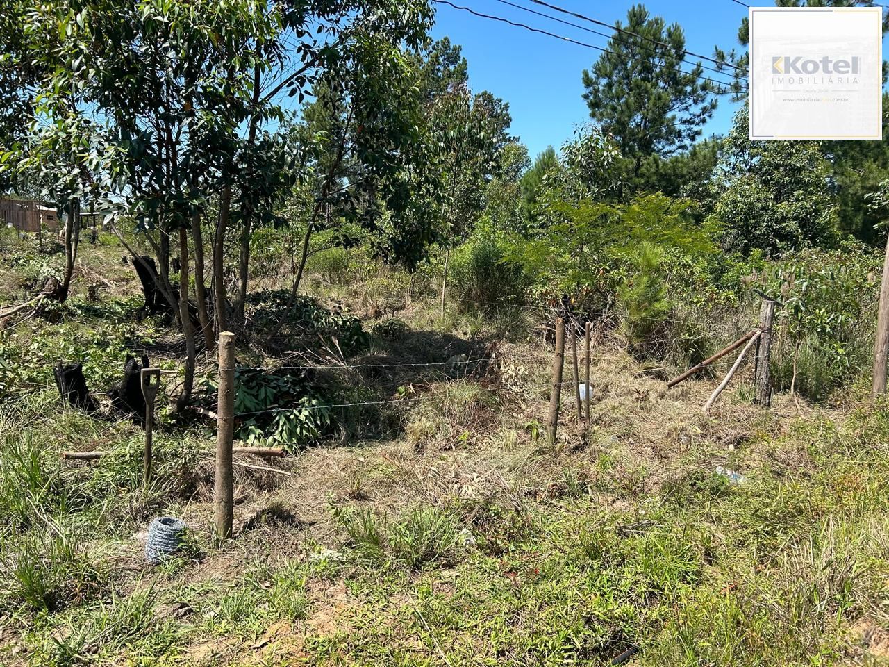Terreno à venda, Lageado - Porto Alegre — foto 4