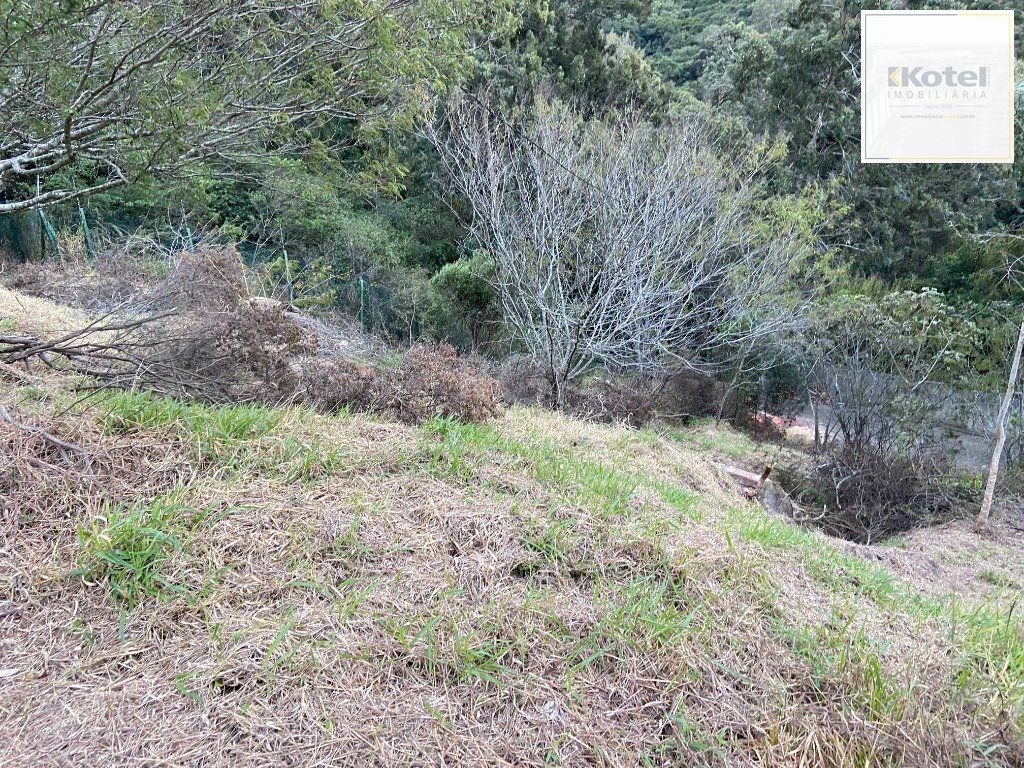 Terreno para Venda - 0m², 0 dormitórios, Santa Isabel