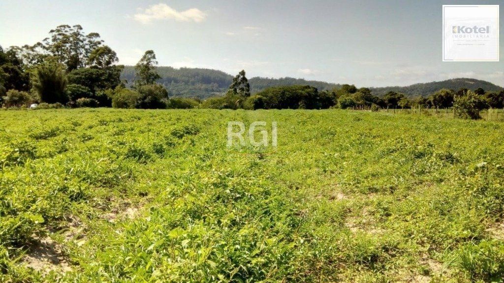 Sítio para Venda - 20060m² Zona Sul Lami — foto 2