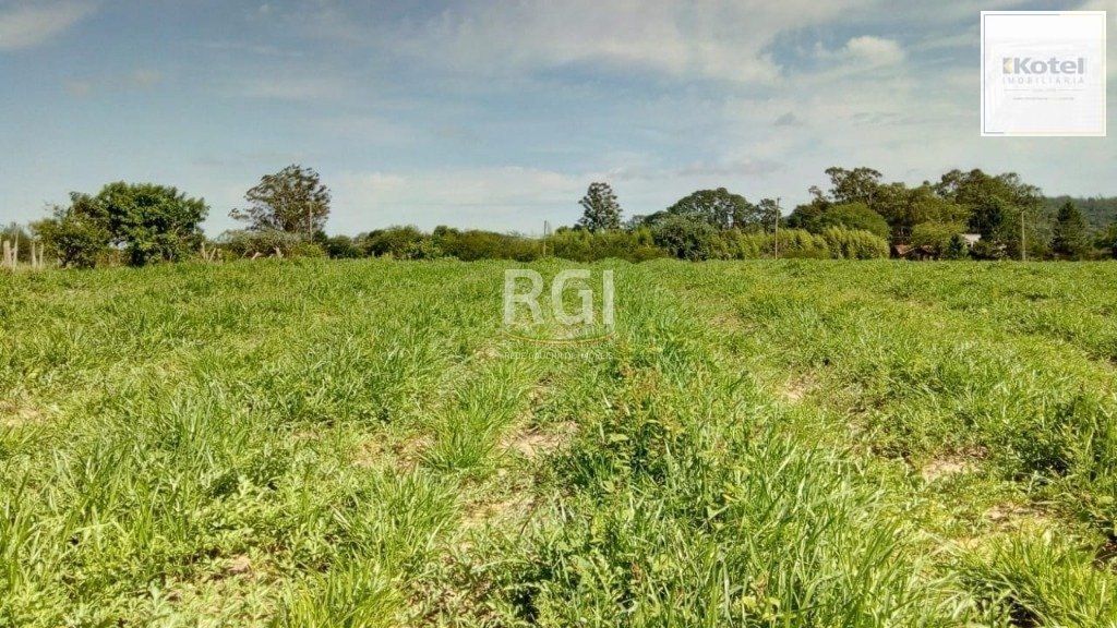 Sítio para Venda - 20060m² Zona Sul Lami — foto 5