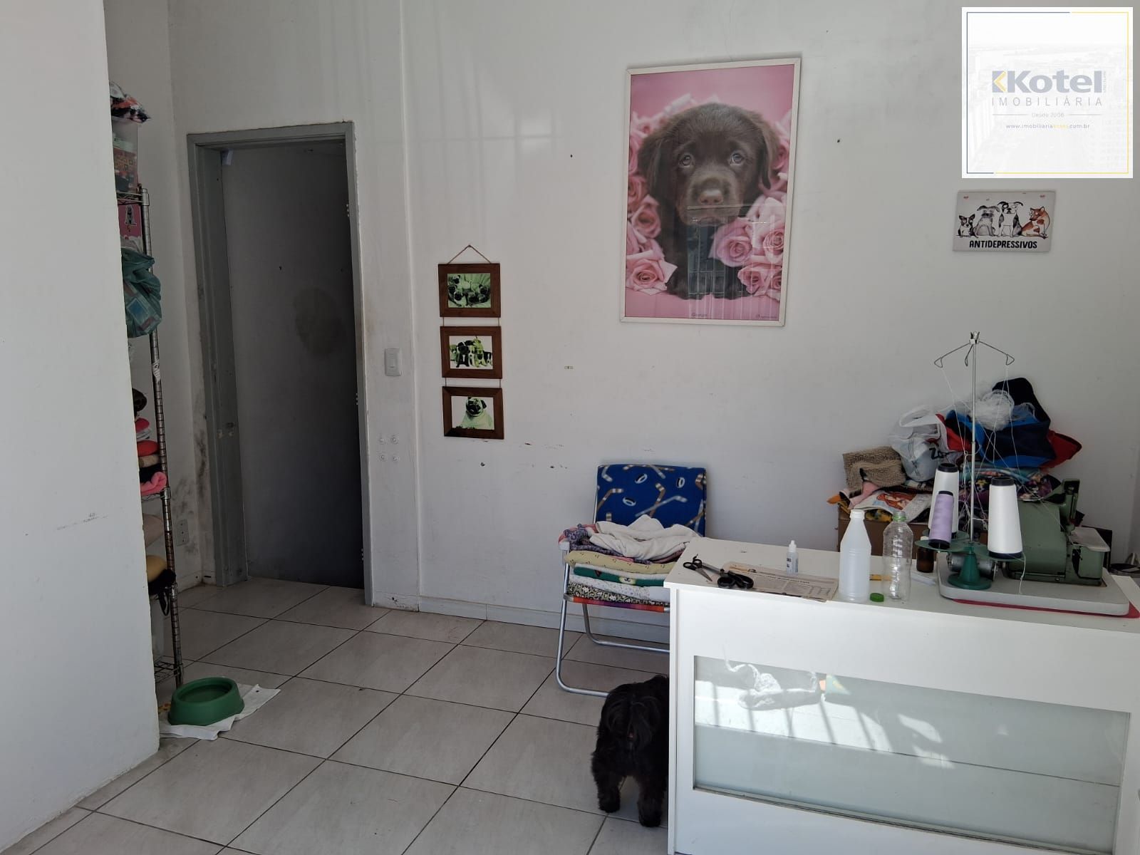 Pavilhão 3 quartos à venda, 289m², Santana - Porto Alegre — foto 4