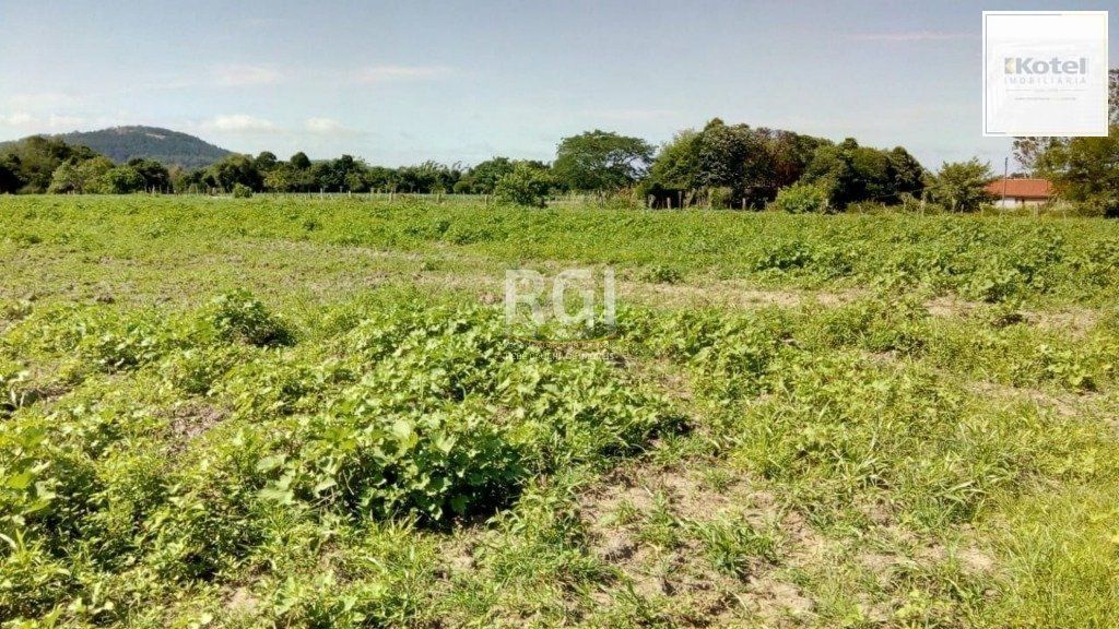 Sítio para Venda - 20060m² Zona Sul Lami — foto 4