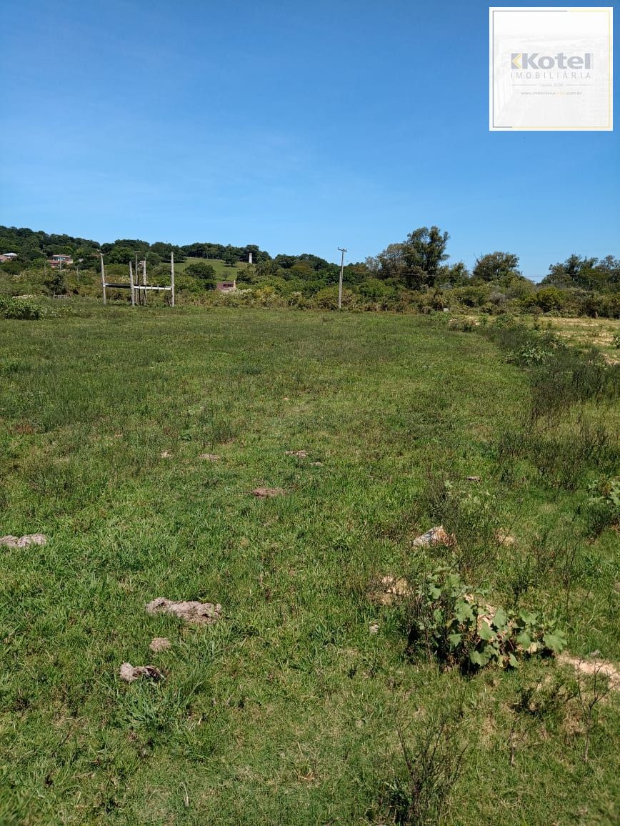Terreno para sitio ou construção de condominio - Ponta Grossa — foto 3