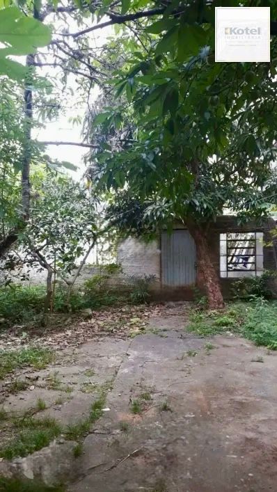 Terreno, 3 quartos, à venda, Jardim Botânico - Porto Alegre — foto 5