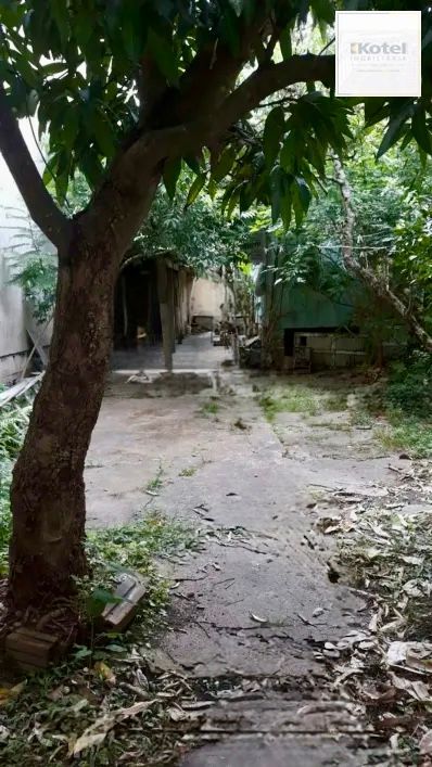 Terreno, 3 quartos, à venda, Jardim Botânico - Porto Alegre — foto 3