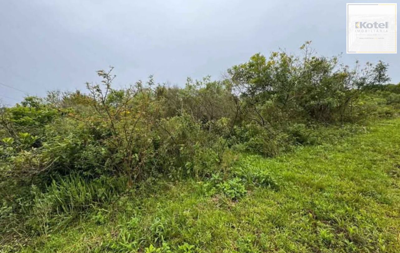 Área à Venda com 13 hectares em Jardim do Cocão, Viamão, RS – Ótimo Preço!