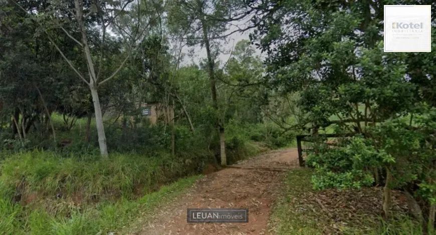 Sítio no Parque Florestal em Itapuã — foto 5