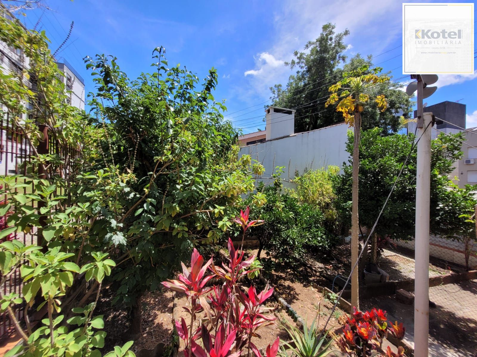 Casa térrea com garagem no subsolo e anexo — foto 4