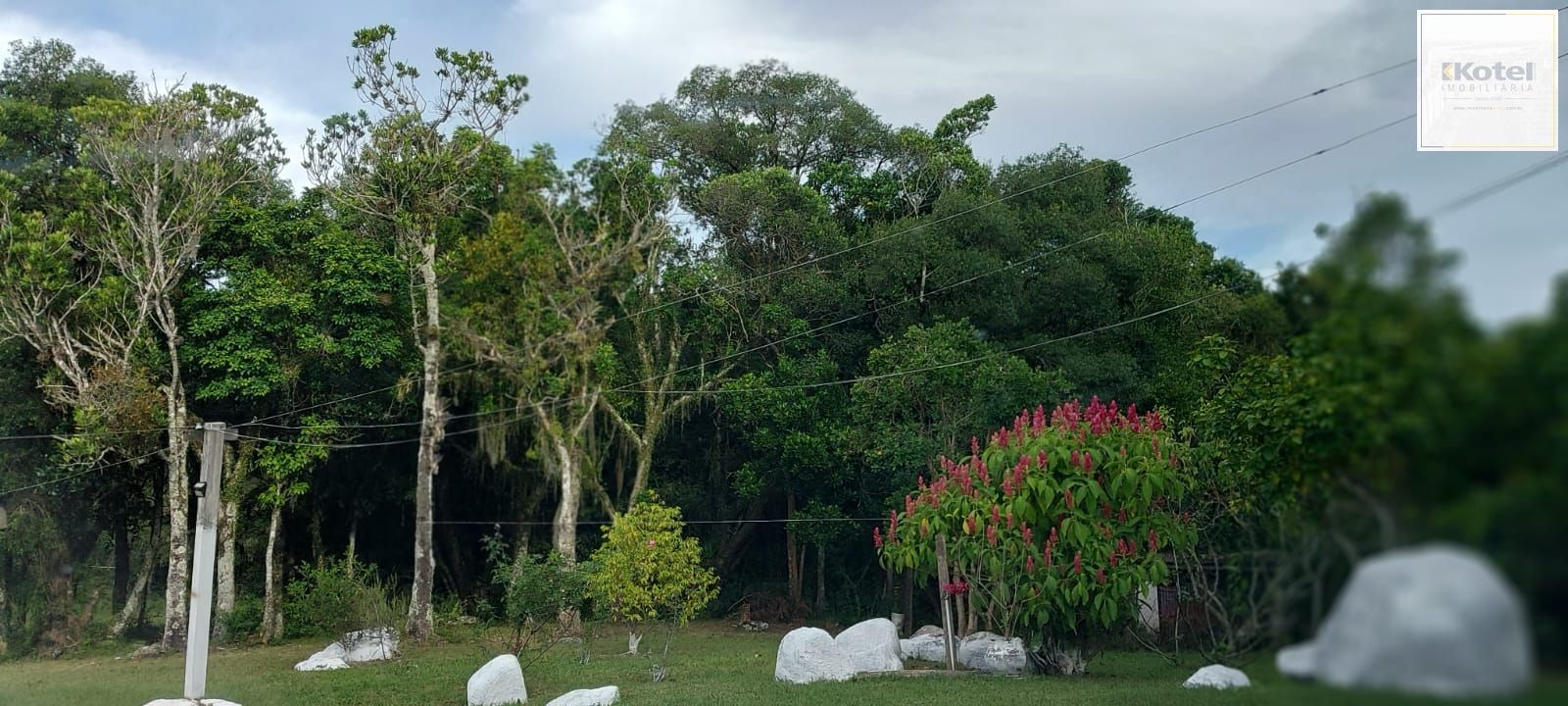 Lindo sitio em localização privilegiada. — foto 4
