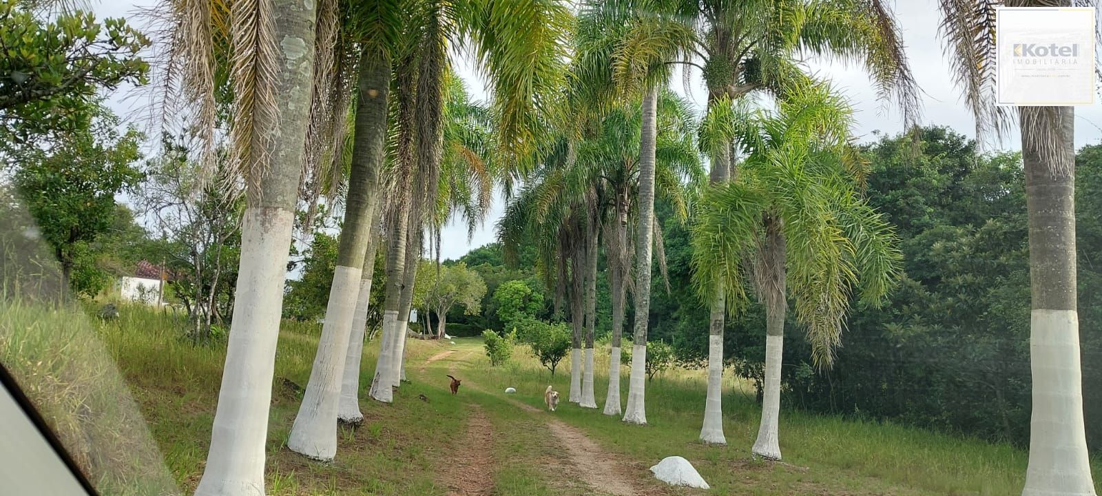 Lindo sitio em localização privilegiada. — foto 2