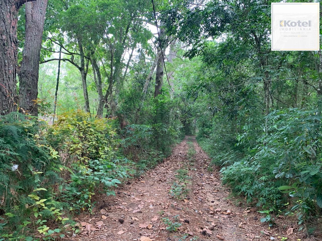 Lindo Sítio em Águas Claras - Viamão