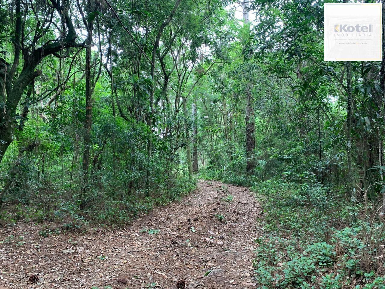 Lindo Sítio em Águas Claras - Viamão