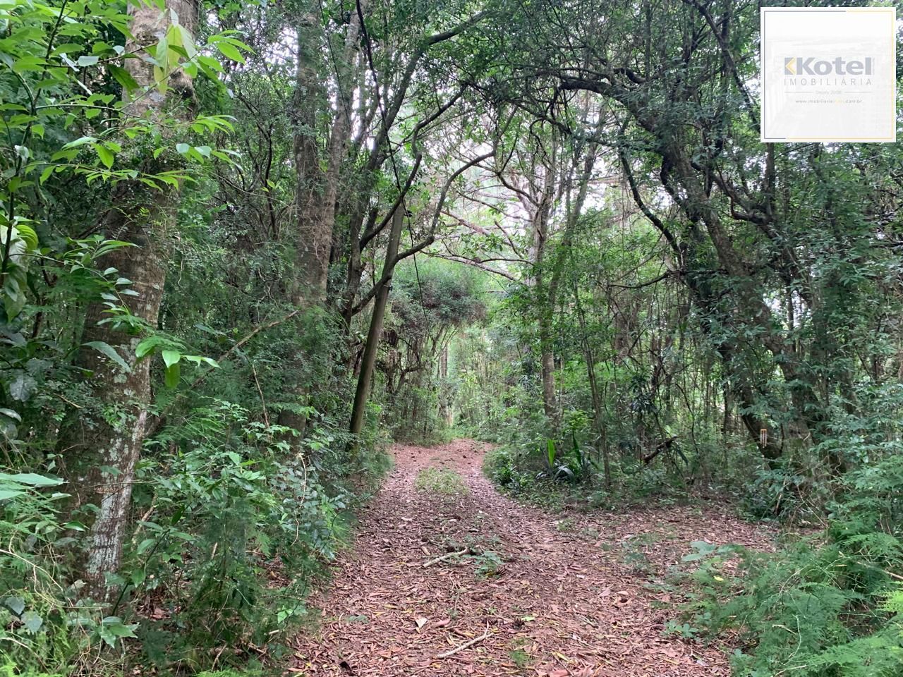 Lindo Sítio em Águas Claras - Viamão