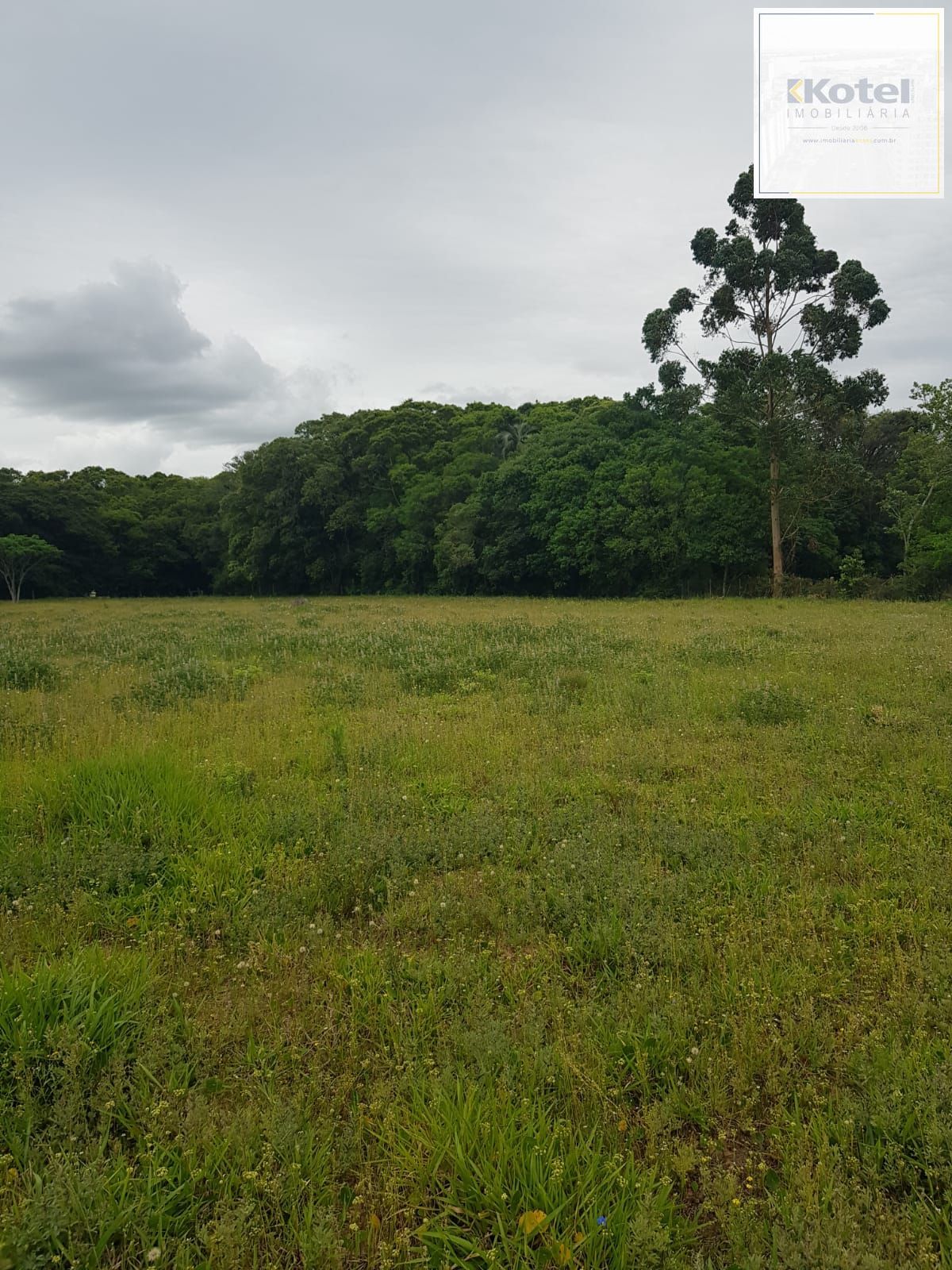 Sítio, 2 suítes, à venda, 120 m², Águas Claras - Viamão — foto 4