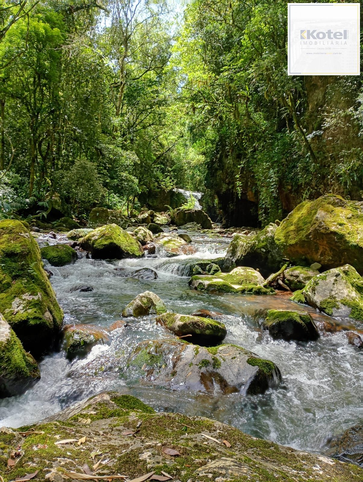 SITIO PARA LAZER E TURISMO. COM TODAS AS LICENÇAS, URBANIZADO PRONTO PARA INVESTIMENTO EM TURISMO — foto 1