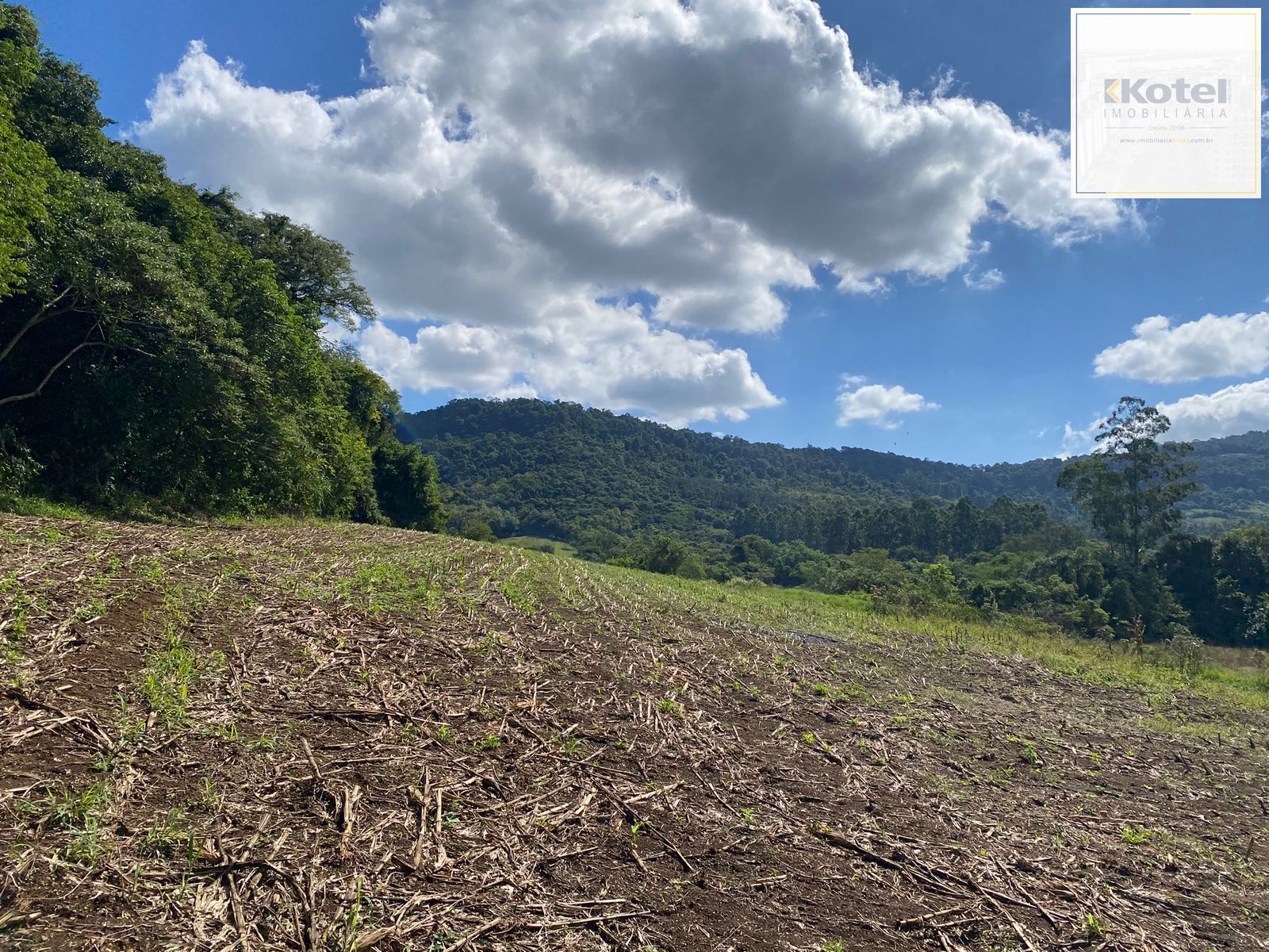Área Rural à venda, Capela do Rosário - São José do Hortêncio — foto 2