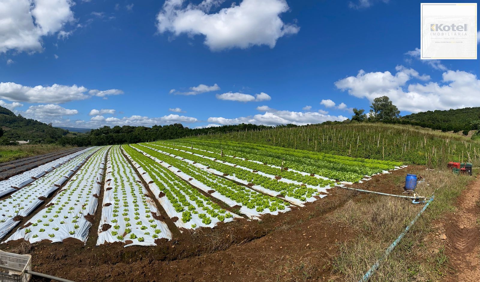 Área Rural à venda, Capela do Rosário - São José do Hortêncio — foto 1