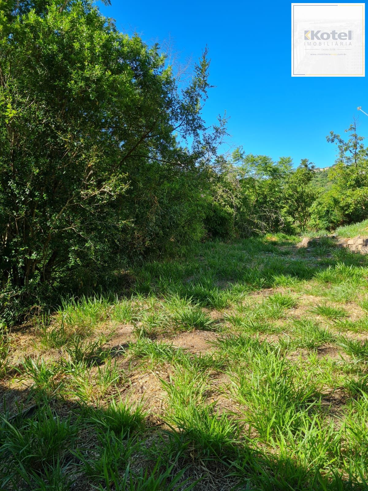 Terreno Comercial, à venda, Vila Nova - Porto Alegre — foto 3